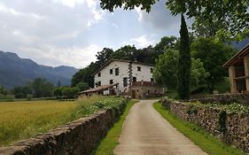Mas Rubió